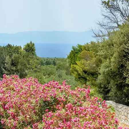 Seaview 2-bedroom 1 With 75 Sqm Shared Pool Villa *
